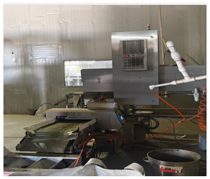 X-Ray Inspection