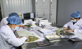Quality Lab